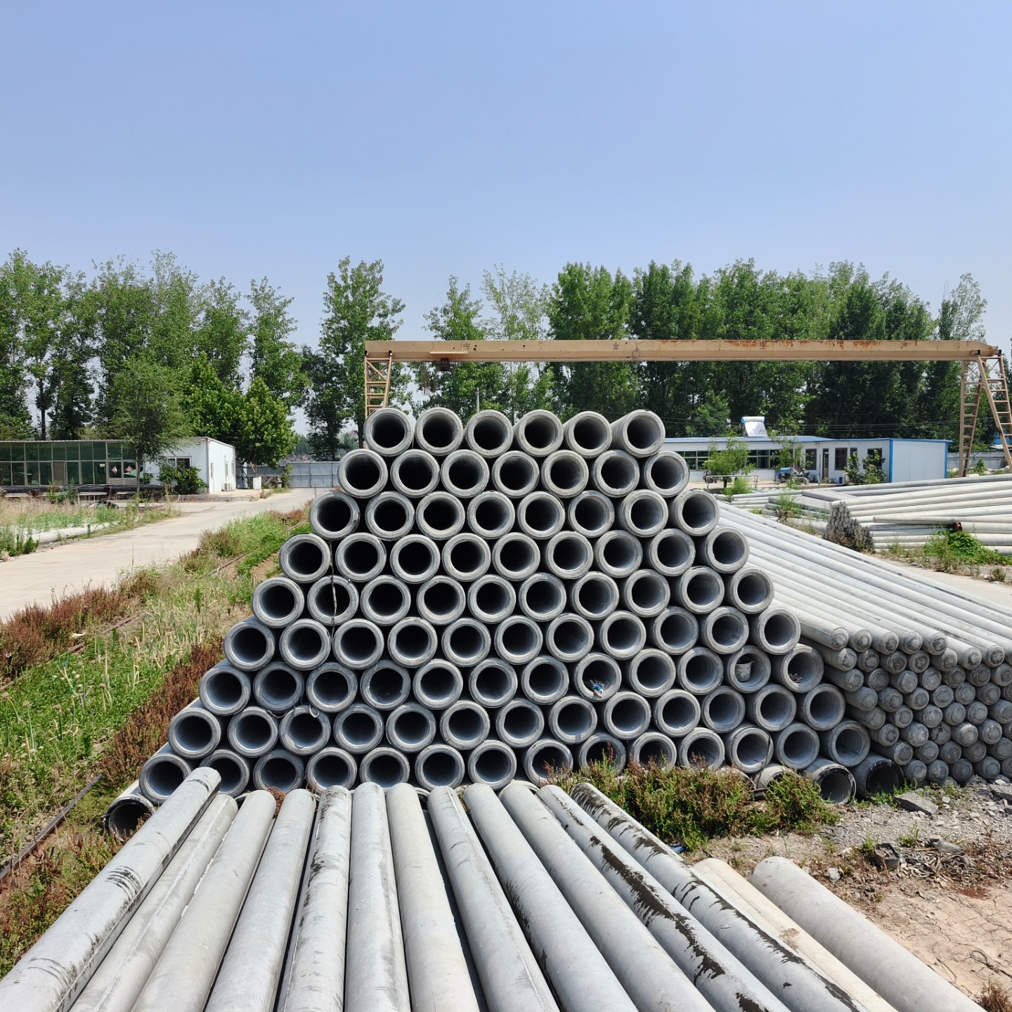 京口190×10米水泥电线杆